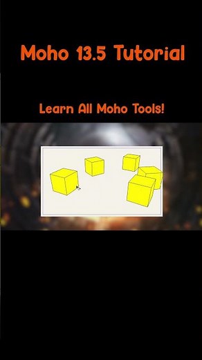 Learn All Moho Tools! Moho 13.5 Tutorial