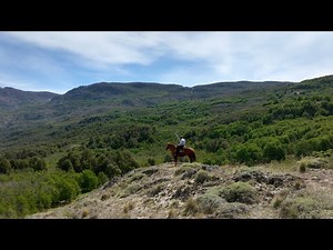 Rolex Perpetual Planet Initiative – The Foundations: Rewilding Chile & Rewilding Argentina – Ep. 2