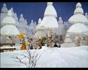 Unser Abendgruß - Herr Fuchs und Frau Elster 🥰 | Schönen Grüße aus dem Osten