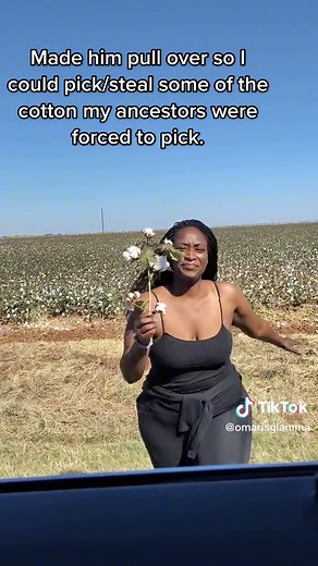 Exploring Black History: Picking Cotton and Its Significance