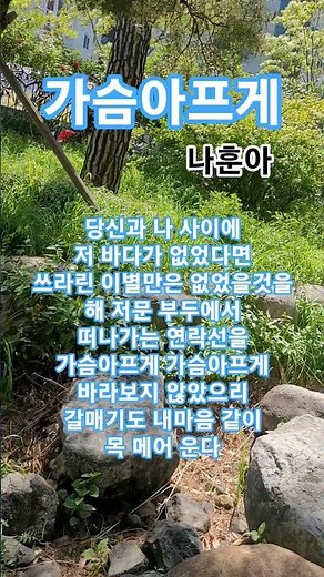 가슴아프게 #나훈아#남진#트로트#1967남진ㆍ최고히트인기애창곡