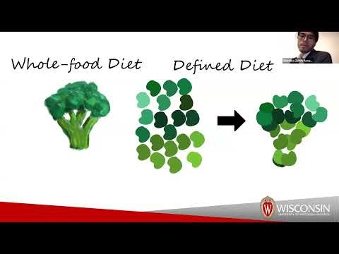 UW Madison Genetics Colloquium - Yang Yeh