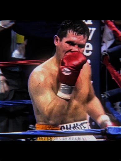 Celebrating Mexican Boxing Legends and Their Style