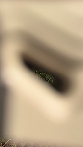 2.7K views · 18 reactions | On Cloudsurfer Trail 2 and make it waterproof  Built for light trail and training runs, this shoe offers improved grip, fit, and comfort. All with a newly engineered, resilient waterproof upper. We’ll take the lot. #prodirect #running #onrunning | Pro Direct Running | Facebook