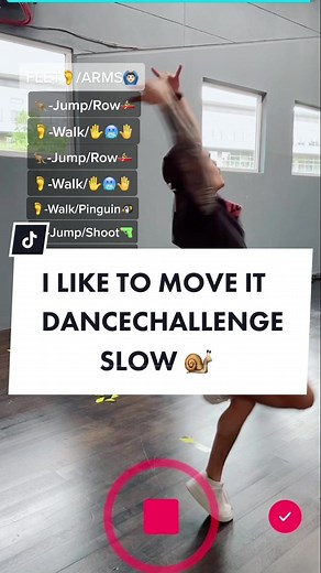 Fun Dance Challenge Tutorial: I Like to Move It 🦝🐌