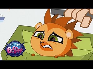 Littlest Pet Shop - ‘Naptime's a Ball’ Original Short