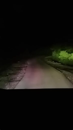 TSHERING (@rada.123)’s videos with original sound - RIGའཛིན🇧🇹