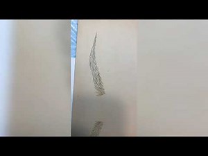 Microshading vs Microblading