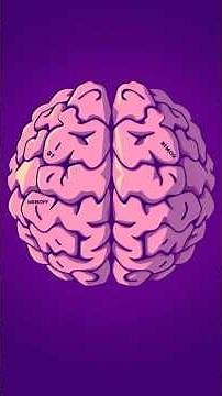 🧠 How Does the Brain Work? | Simple Explanation for Kids or adults (3-Minute Science Video)