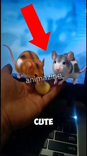 Cutest Breakfast Ever! My 2 Colorful Mice Go Crazy!