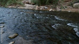 Panorama of River Bank Judaists' Ablution Bathing in a River Worshiper Commits Rituals Mount Nebo Amman City of Jordan Water Flows Stones on the Bottom