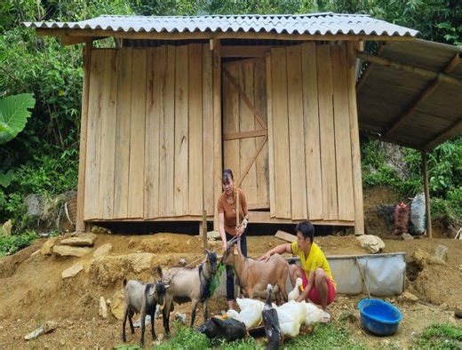 187K views · 4.4K reactions | The husband built the kitchen and...