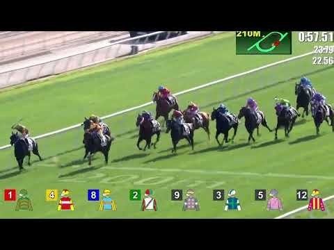 2025 12 20 沙田 全日賽事 一鍵重溫