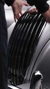 Smooth lines, sharp manners — a gentleman with a wild side.