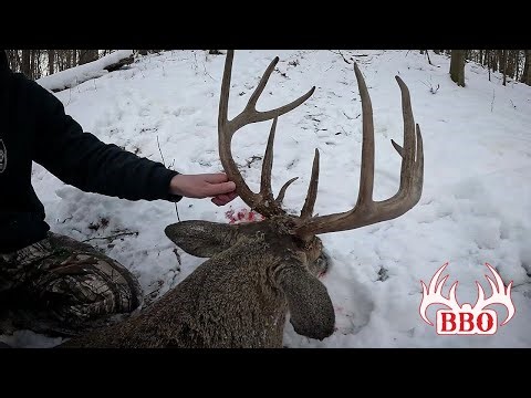 Late Season Ohio Giant! | Bowhunting Whitetails (Self-Filmed)