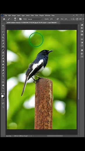 8.2K views · 72 reactions | Learn how to create a stunning DSLR-style blurred background in Photoshop! ✨ Perfect for giving your photos a professional touch and making your subject stand out. Quick, easy, and beginner-friendly tutorial! #PhotoshopTutorial #DSLRBackground #PhotoEditing #PhotoshopEffects #TKGraphics | Tufan Jhelduyer | Facebook