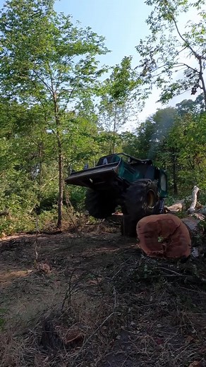 332 reactions · 27 shares | Follow the action from Boys In The Woods! New Episodes every Sunday! Dont forget to Like, Share, Subscribe! | Boys In The Woods | Facebook