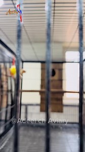 79K views · 2.7K reactions | This video is for those who want quick...