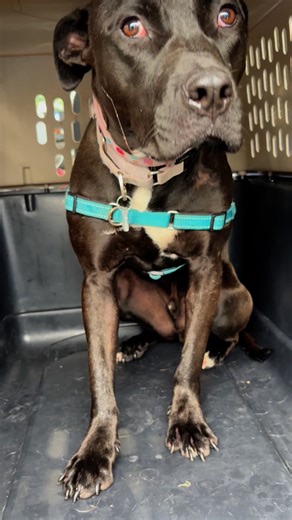 102K views · 5.5K reactions | URGENT   Please open your home...