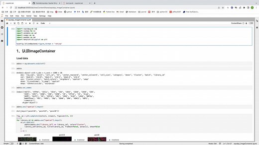 squidpy | 空间转录组 (ST) 图像分析实用教程