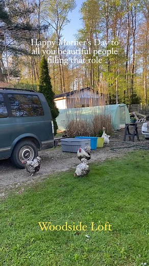 Happy Mother’s Day | John Hawley