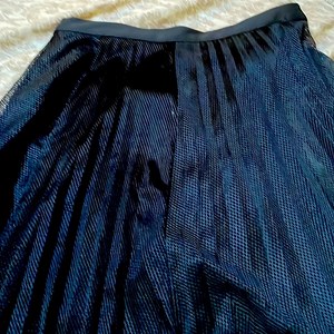 Beautiful mesh black skirt !!! Completely covers you and still shows some leg!!