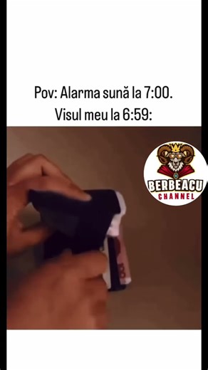 Visul perfect. #berbeacu #viralvideo #funny #memes #shorts #comedy #fyp #trending