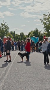 The city is buzzing with things to do! Spokane really comes alive in the summertime. From music festivals to our park filled with food trucks, you can find something fun to do in every corner of the city! Book your summer trip to the Lilac City now! ⭐️ #TravelPNW #VisitSpokane #Spokane | Visit Spokane