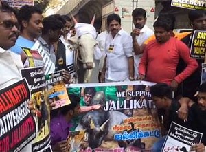 35K views · 622 reactions | Chandigarh, Mumbai based Tamilians protest against Jallikattu ban | The Times of India | Facebook