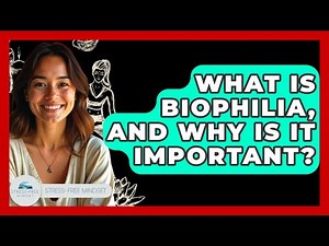 What Is Biophilia, And Why Is It Important? - Stress Free Mindset