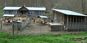 A raid, a rescue, and more trouble for Trixie Foundation