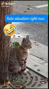 President Ruto's current situation. Akiskia Gen Z wako maandamano.... | Muga Ka Muga | Facebook