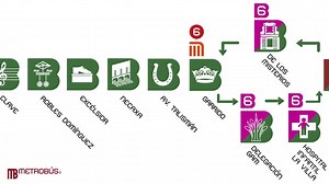 Conoce todas las paradas e iconos de la nueva línea 7 Metrobús Reforma. | Metrobús