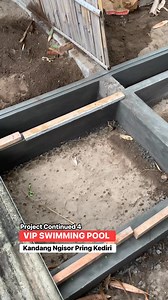 VIP SWIMMING POOL 4 #fypjangkauanluas #fypシ゚viralシ #fypviralシ #fypreels #jangkaunluas #usareels #patos #fyp #duck #muscovyduck #fyp #viral #animals #pets #usa #kanada M Choirul Huda | Kang Mas Janoko