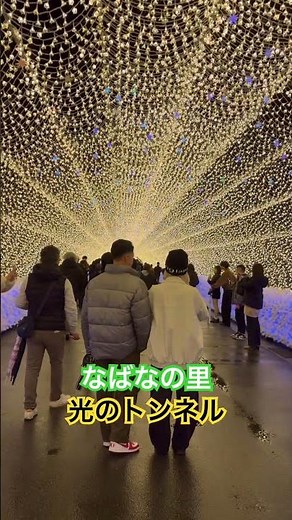 なばなの里イルミネーション🎄光のトンネル💡ナガシマリゾート🏝️
