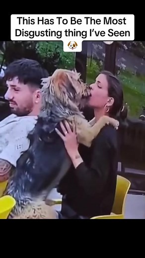 #dog #puppy #kissing #girl #fyp | dog