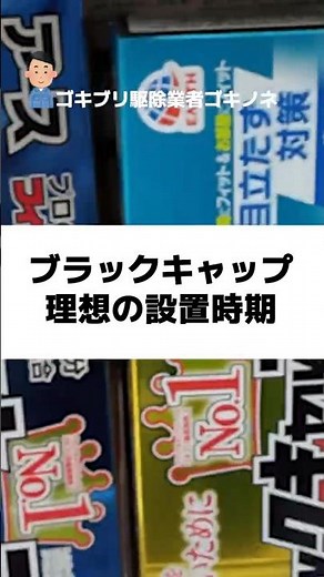 ブラックキャップ・オススメの設置時期【ゴキブリ対策】