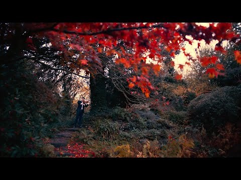 Over the Rainbow - (Eva Cassidy) Matt Glossop - Solo Violin