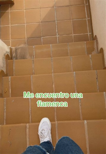 Outfits Flamencos: Precios y Estilo