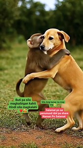 Buti pa sila magkasundo ♥️ pero kung ganyan din sana Ang tao mag isip walang gulo sa Bansa natin 😂🤣 #localcommunity #goodvibes #communitysupport #community #CommunityEngagement #CommunityShare #richardcagape | Richard Cagape