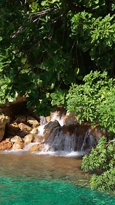 Taking a quick waterfall break in Wind-Away River 🌊 | Discovery Cove