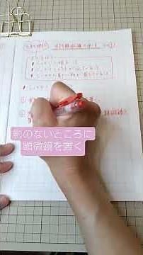 五年生理科【顕微鏡の使い方】その①しっかりと明るいこと#生物顕微鏡#顕微鏡#顕微鏡のコツ#ピント合わせ#小学校理科#理科支援員#理科専科
