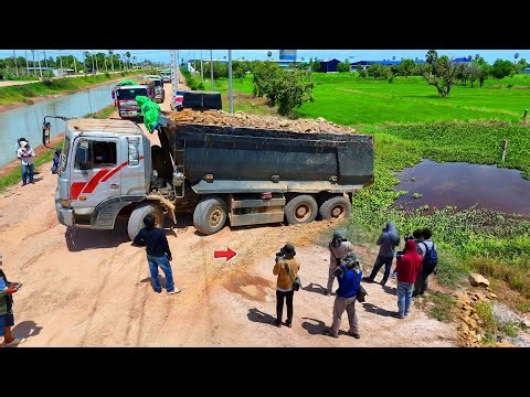 O.M.G! Ohh Be Careful New Landfill Task!! By Dump Truck 25.5Ton & Dozer Spread Soil into Flood Area