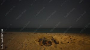 persian gulf night sky wonderful starry night turtle mother splash sand into air explosion dry sand to dig a hole nestling in sand beach in Iran ocean climate darkness wildlife conservation in saudi