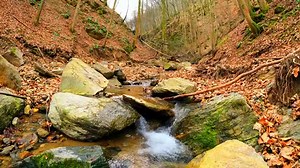 Relaxing  nature sounds - water sounds in the forest