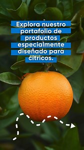 El manejo integrado de plagas es clave para los productores de...