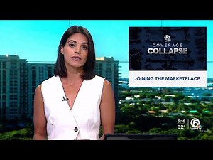 2 more insurance companies can now write policies in Florida