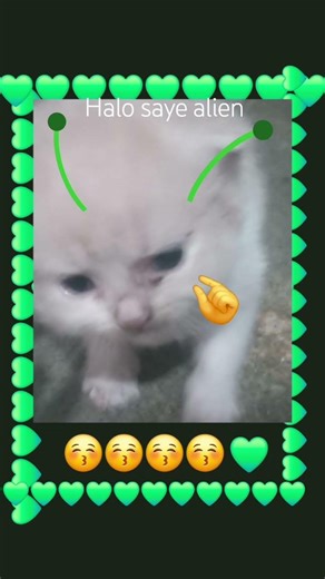 #fyppppppppppppppppppppppp #halo sye alien