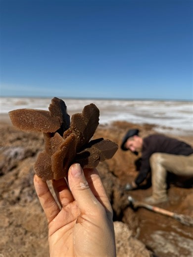 Dug up some beautiful selenite in Oklahoma! It’s hard to dig these salt crystal clusters out without breaking them, but we managed to extract some beauties. We will be giving these away during our next facebook live show! ❤️ This location is a free public rockhounding dig site. You can collect 10lbs per person per day, but you aren’t allowed to sell them. A short drive from Cherokee, Oklahoma. More videos coming soon! | That Camping Couple