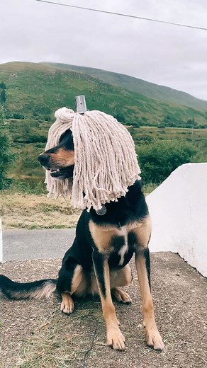 Worlds_most_boring (@worlds_most_boring)’s videos with original sound - Memes & Streams